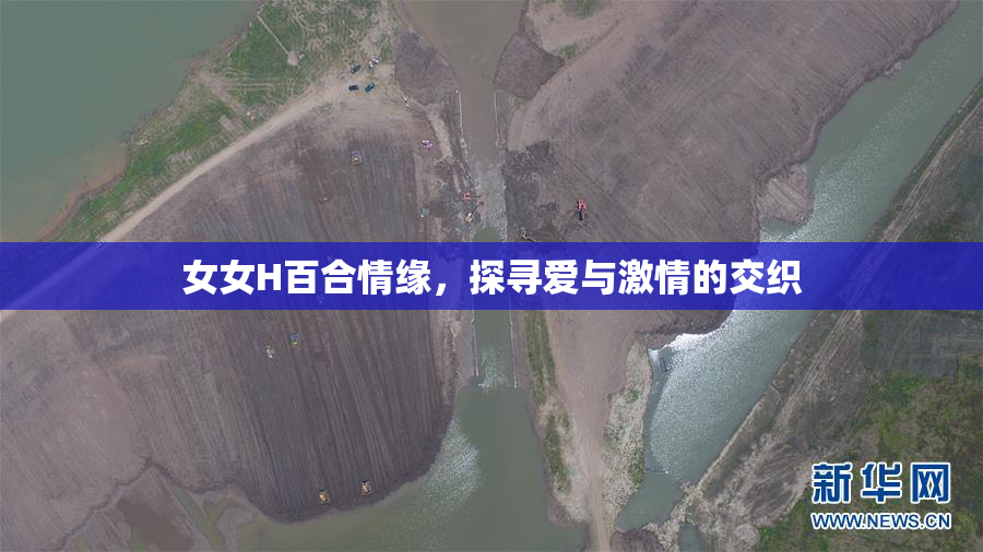 女女H百合情缘，探寻爱与激情的交织