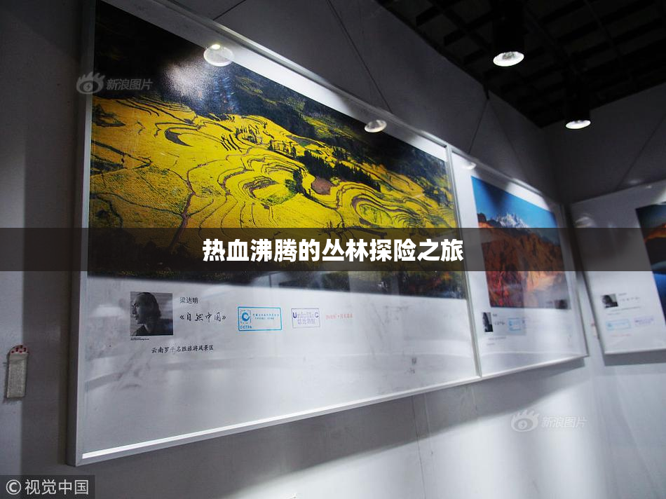热血沸腾的丛林探险之旅