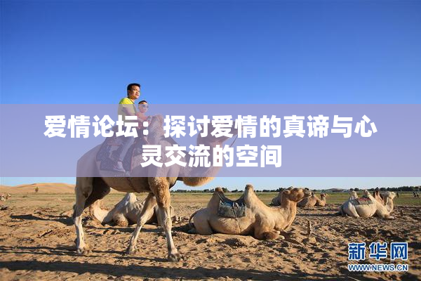 爱情论坛：探讨爱情的真谛与心灵交流的空间