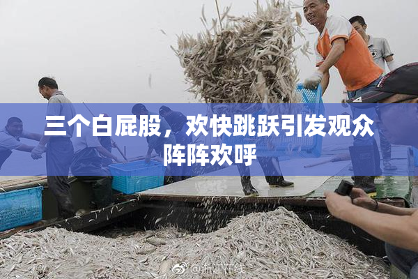 三个白屁股，欢快跳跃引发观众阵阵欢呼