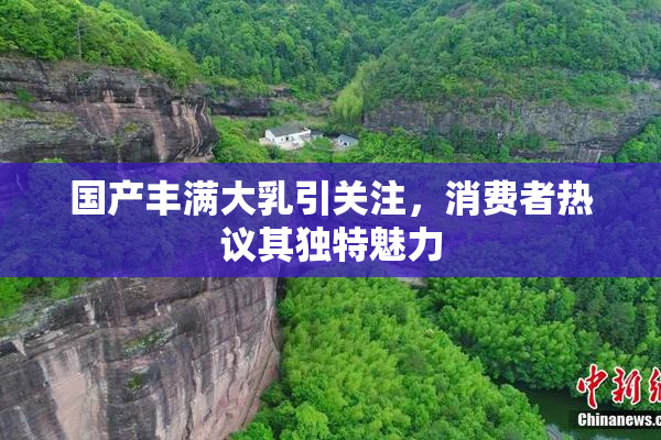 国产丰满大乳引关注，消费者热议其独特魅力