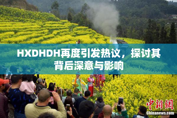HXDHDH再度引发热议，探讨其背后深意与影响