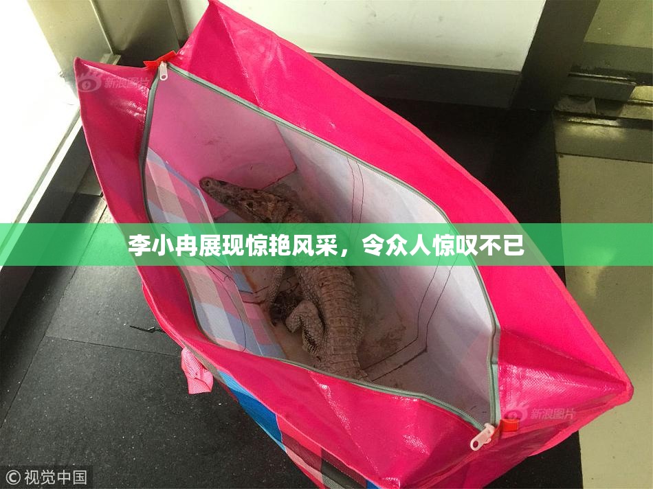 李小冉展现惊艳风采，令众人惊叹不已