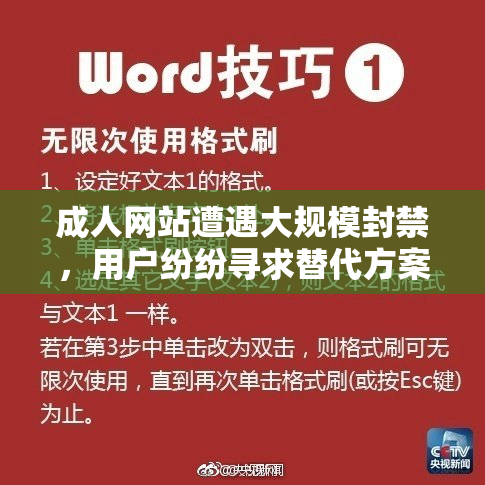 成人网站遭遇大规模封禁，用户纷纷寻求替代方案
