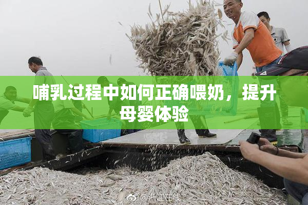 哺乳过程中如何正确喂奶，提升母婴体验