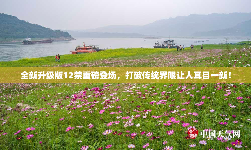 全新升级版12禁重磅登场，打破传统界限让人耳目一新！