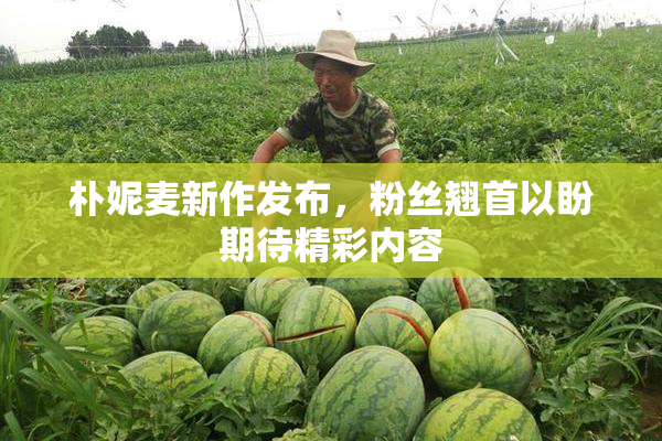 朴妮麦新作发布，粉丝翘首以盼期待精彩内容