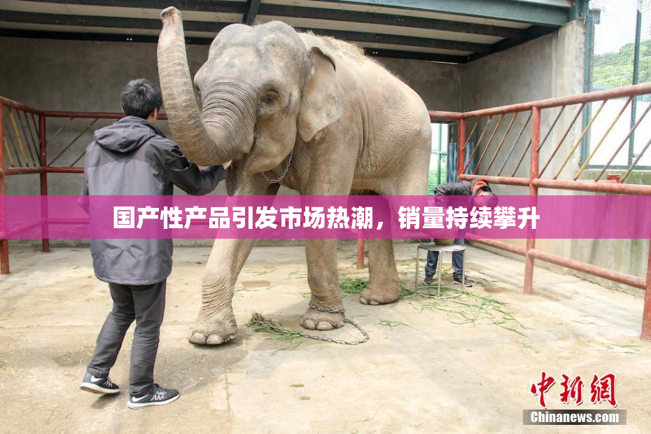 国产性产品引发市场热潮，销量持续攀升
