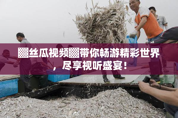 ▓丝瓜视频▓带你畅游精彩世界，尽享视听盛宴！