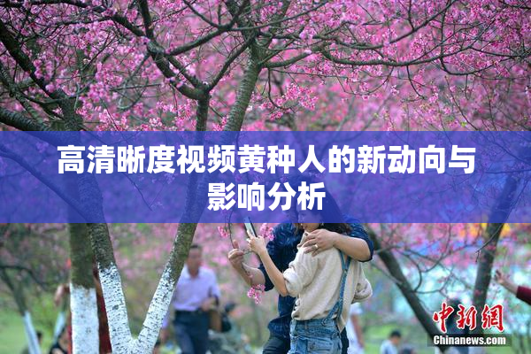 高清晰度视频黄种人的新动向与影响分析