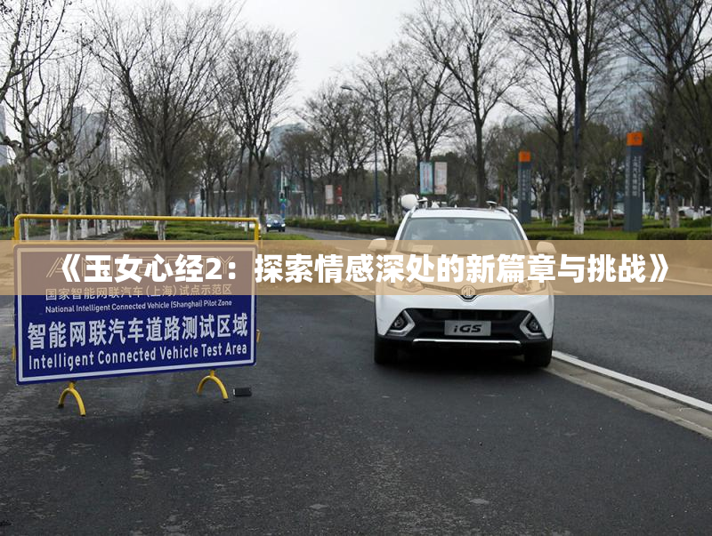 《玉女心经2：探索情感深处的新篇章与挑战》