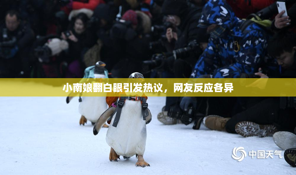小南娘翻白眼引发热议，网友反应各异