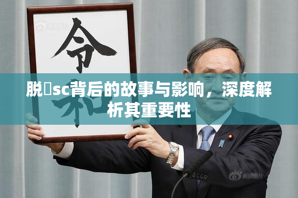 脱糞sc背后的故事与影响，深度解析其重要性