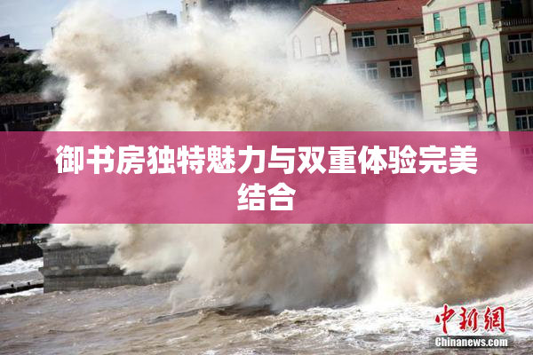 御书房独特魅力与双重体验完美结合