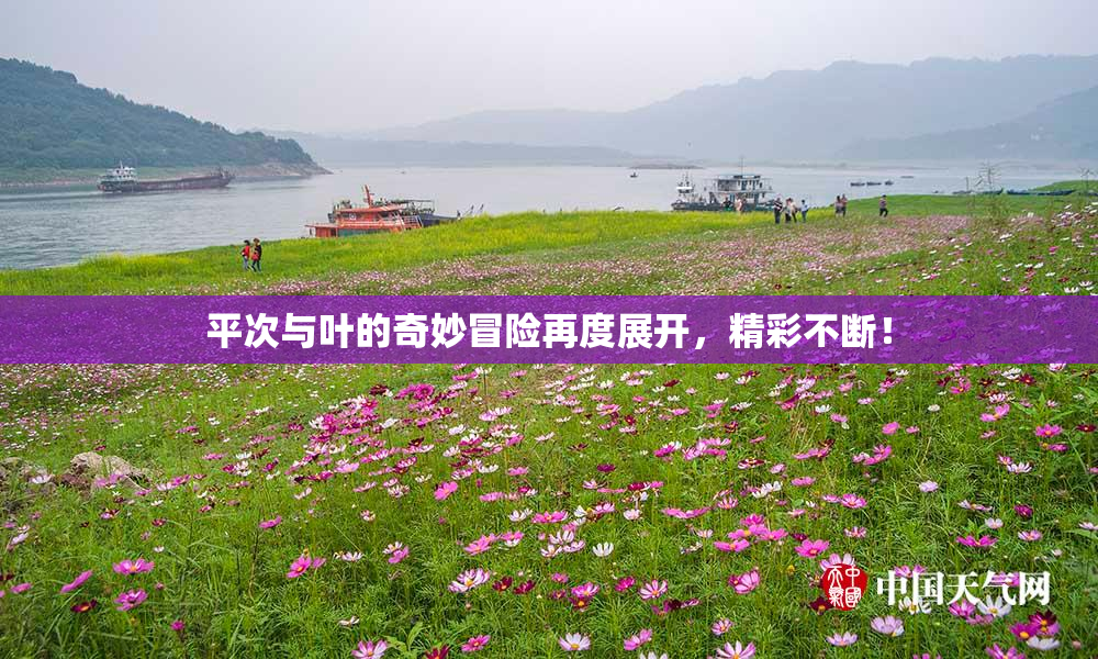 平次与叶的奇妙冒险再度展开，精彩不断！