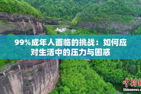 99%成年人面临的挑战：如何应对生活中的压力与困惑