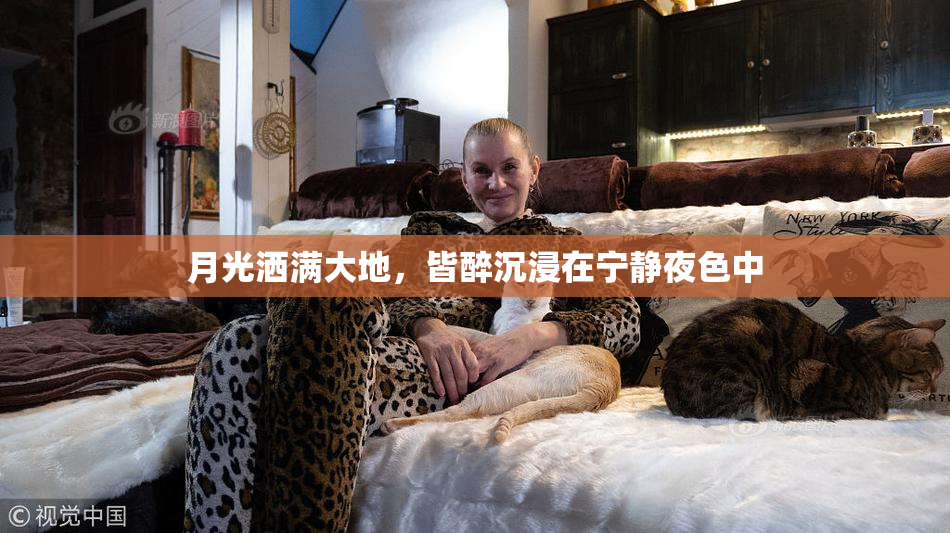 月光洒满大地，皆醉沉浸在宁静夜色中
