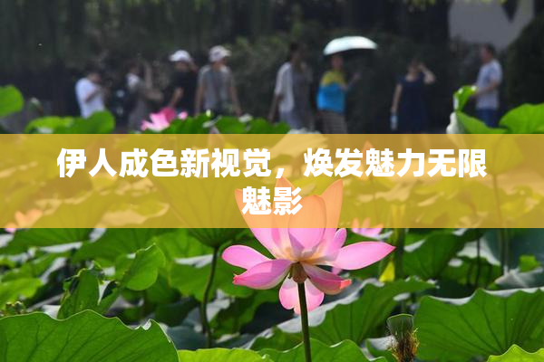 伊人成色新视觉，焕发魅力无限魅影