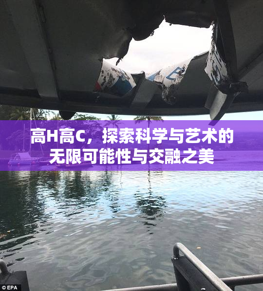 高H高C，探索科学与艺术的无限可能性与交融之美