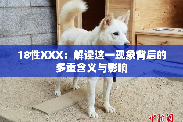 18性XXX：解读这一现象背后的多重含义与影响
