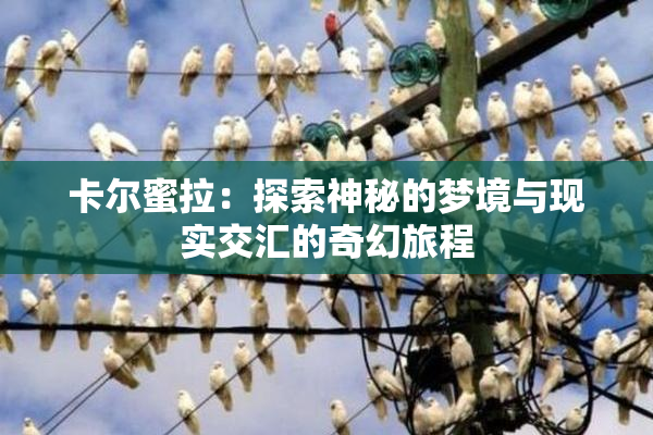 卡尔蜜拉：探索神秘的梦境与现实交汇的奇幻旅程