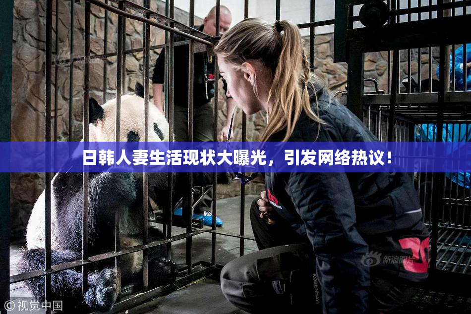 日韩人妻生活现状大曝光，引发网络热议！