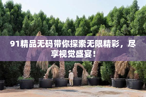 91精品无码带你探索无限精彩，尽享视觉盛宴！