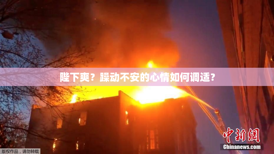 陛下爽？躁动不安的心情如何调适？