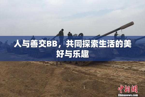 人与善交BB，共同探索生活的美好与乐趣