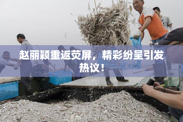 赵丽颖重返荧屏，精彩纷呈引发热议！