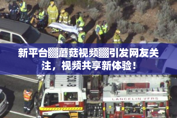 新平台▓蘑菇视频▓引发网友关注，视频共享新体验！