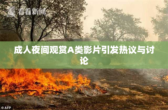 成人夜间观赏A类影片引发热议与讨论