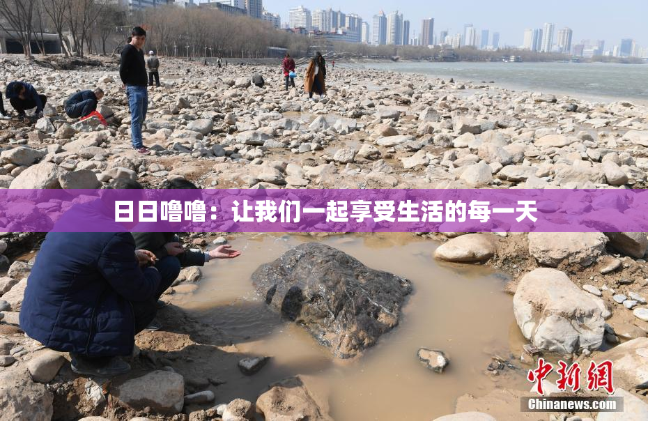 日日噜噜：让我们一起享受生活的每一天