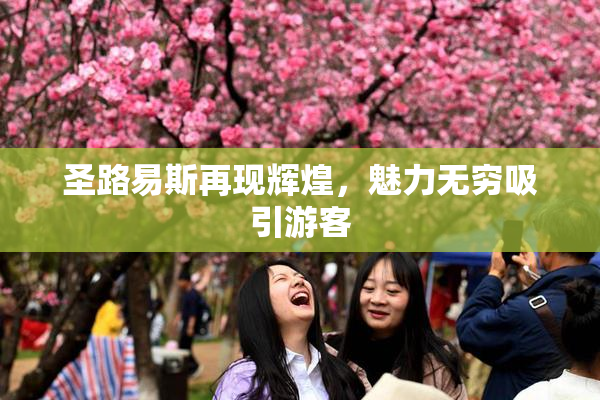 圣路易斯再现辉煌，魅力无穷吸引游客