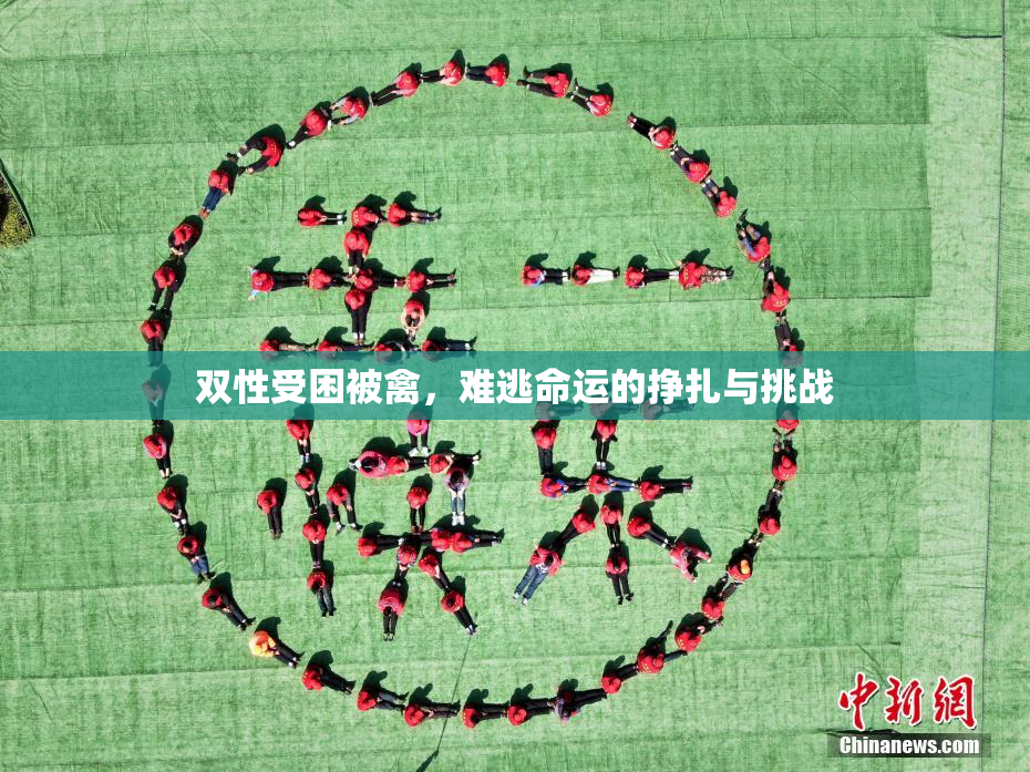双性受困被禽，难逃命运的挣扎与挑战