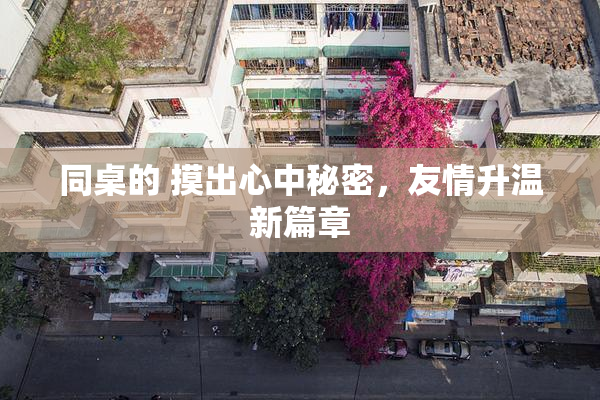 同桌的 摸出心中秘密，友情升温新篇章