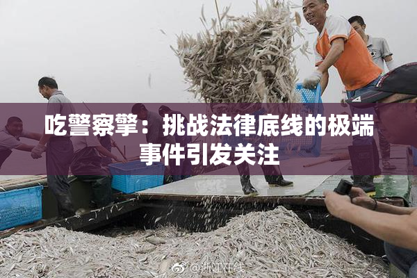 吃警察擎：挑战法律底线的极端事件引发关注