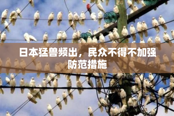 日本猛兽频出，民众不得不加强防范措施