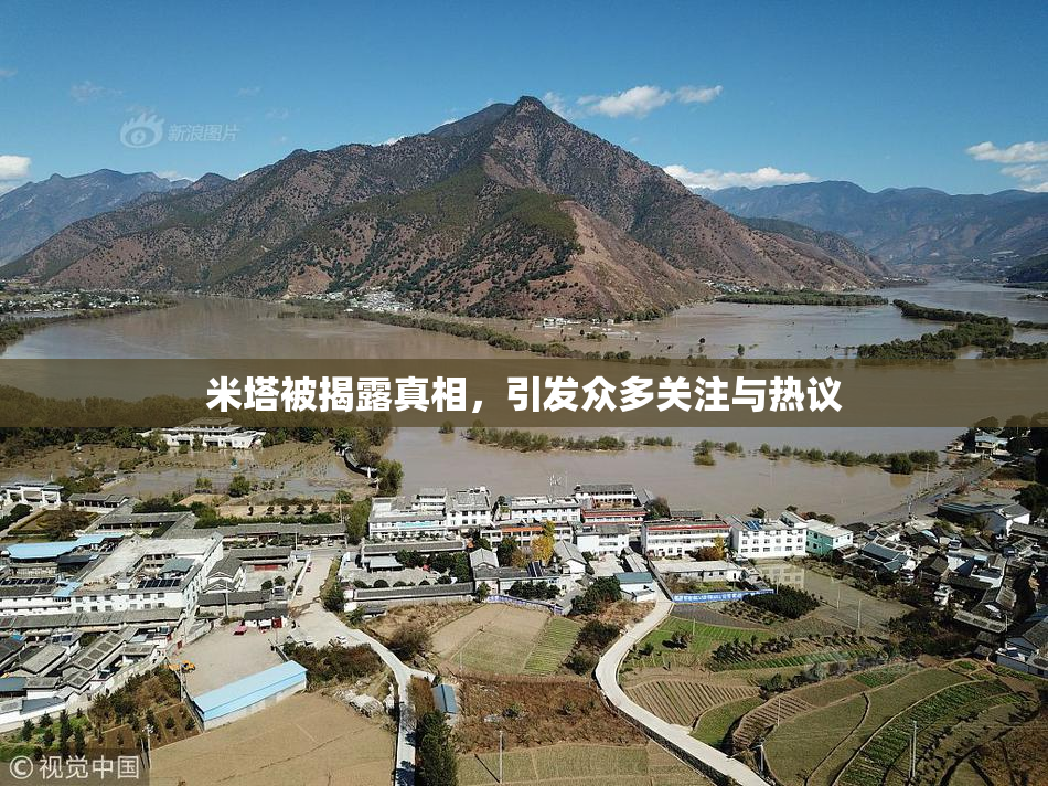 米塔被揭露真相，引发众多关注与热议
