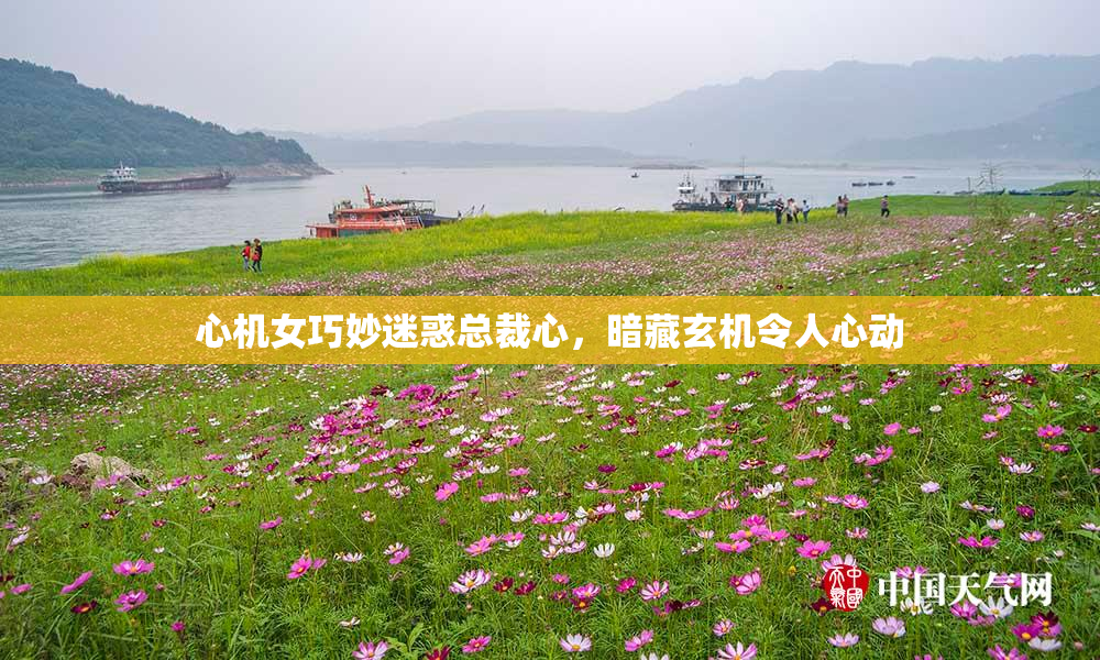心机女巧妙迷惑总裁心，暗藏玄机令人心动