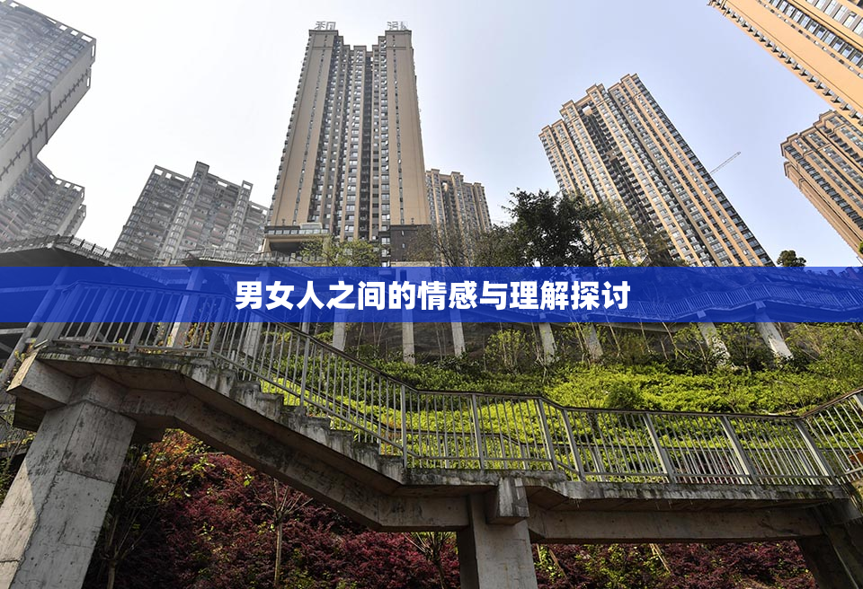 男女人之间的情感与理解探讨