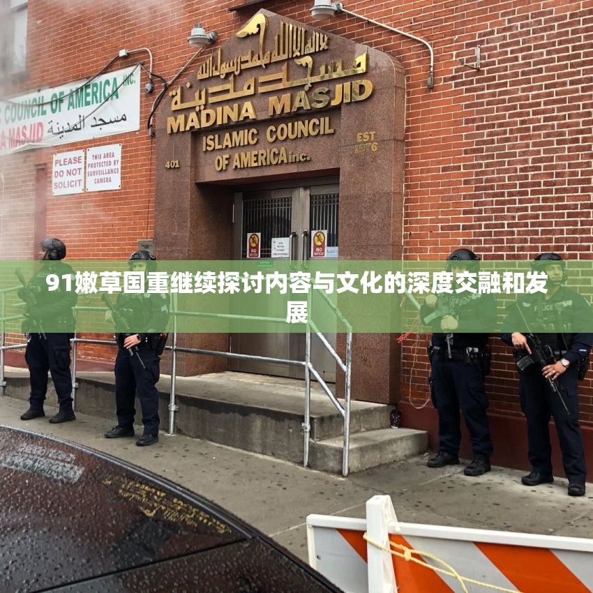 91嫩草国重继续探讨内容与文化的深度交融和发展