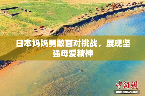 日本妈妈勇敢面对挑战，展现坚强母爱精神