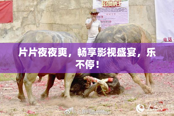 片片夜夜爽，畅享影视盛宴，乐不停！