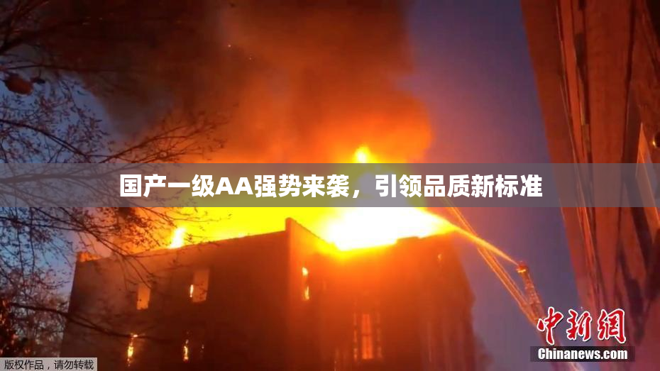 国产一级AA强势来袭，引领品质新标准