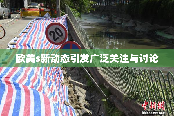 欧美s新动态引发广泛关注与讨论