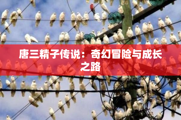 唐三精子传说：奇幻冒险与成长之路