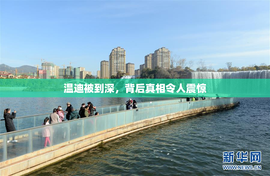 温迪被到深，背后真相令人震惊