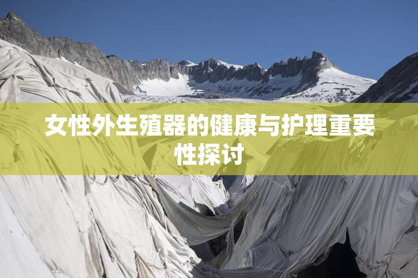 女性外生殖器的健康与护理重要性探讨