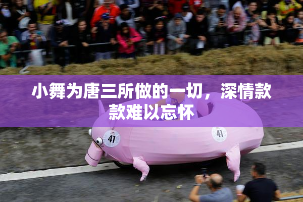 小舞为唐三所做的一切，深情款款难以忘怀